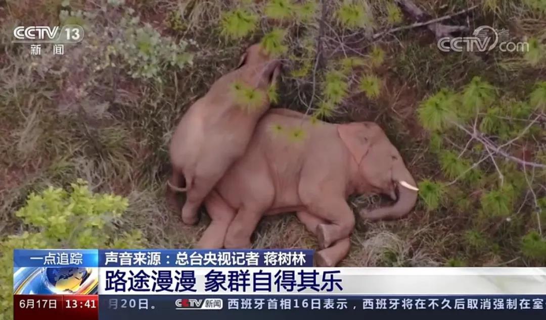 koko体育app官网入口(官方)APP下载IOS/Android通用版/手机app